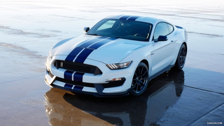 2016 Ford Mustang Shelby GT350 - gt350, car, muscle, mustang, ford, shelby