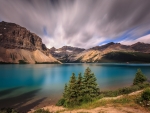 Bow Lake (Alberta Canada )