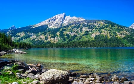 Grand Teton national park, Jenny lake - 2017, grand teton park, photo, pictggure