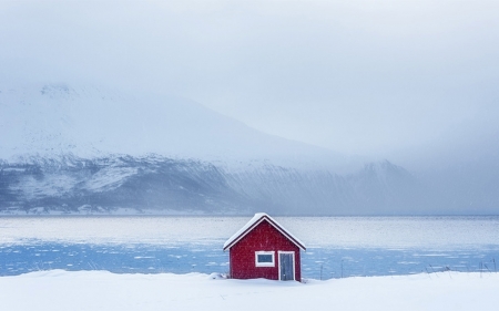 Lone Hut in Norway - hut, snowstorm, norway, landscape