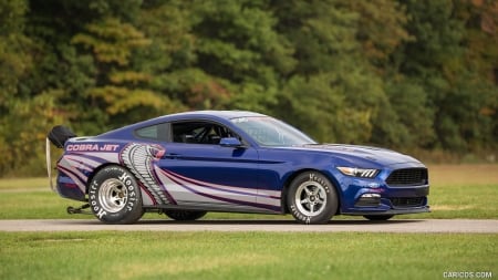 2016 Ford Mustang Cobra Jet Drag Racer - sports, cobra, jet, ford, drag, muscle, car, mustang, racer