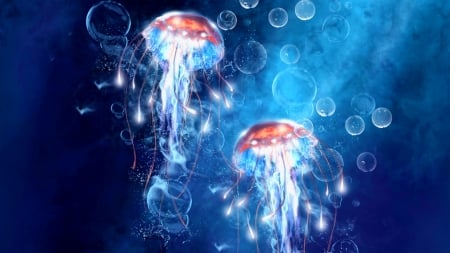 Jellyfish - summer, fantasy, orangel, bubble, luminos, blue, art, underwater