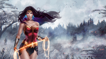 Wonder Woman - comics, fantasy, fanart, girl, prywinko, wonder woman, luminos