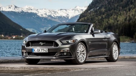 2015 Ford Mustang Convertible - muscle, car, mustang, convertible, ford