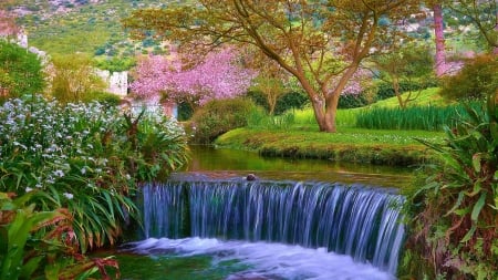 Spring - spring, waterfalls, nature, tree