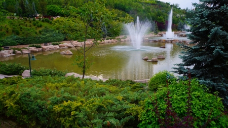 frank's garden - melody, green, park, garden, spring