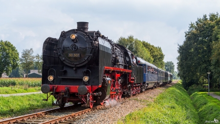 Dutch Steam Train - VSM - train, steam, vsm, dutch