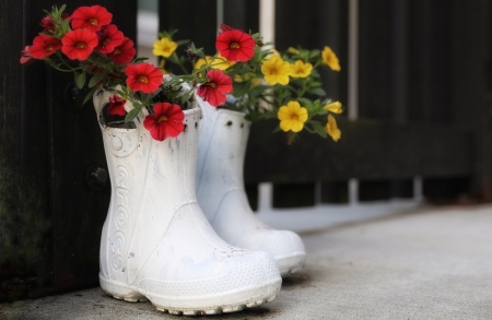 Flowers - white, red, summer, flower, yellow, deco, petunia, boots