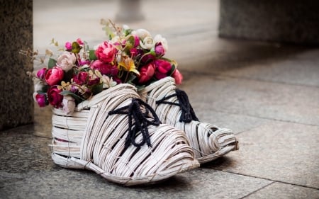 Flowers - flowers, shoes, white, summer, deco, red, card