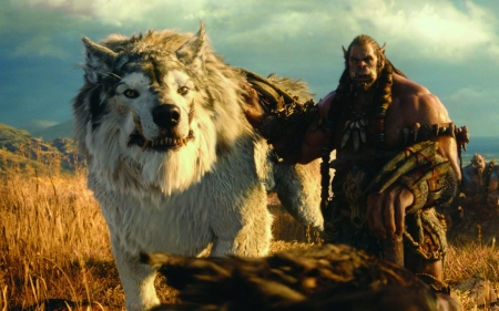 world of warcraft - wolf, warrior, world, warcraft