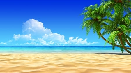 Beach with White Sand - clouds, nature, beach, sea, sand, palm