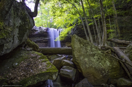 Forest  Falls - nature, forest, trees, waterfall, rocks