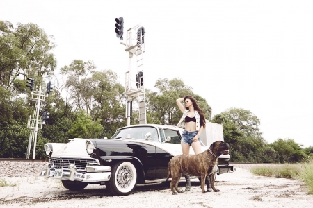 Apirl Cowgirl Rose - boots, car, model, dog