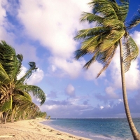 Wind From Ocean