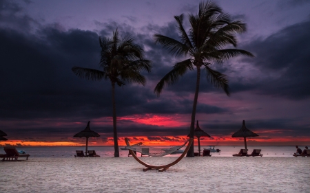 Tropical Sunset - beaches, nature, palm trees, clouds, tropical, sunset