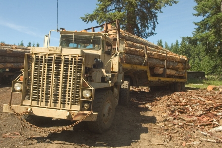 m911 military logging truck - military, truck, army, logging