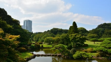 Kotonoha Pond - japan, nature, scenery, pond, tokyo, lake, park, japanese