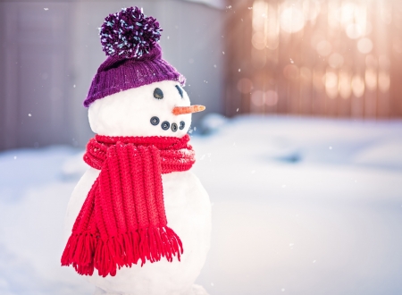 Snowman - snowman, purple, hat, red, winter, scarf