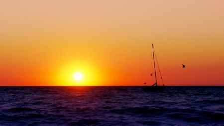 Sailing Boat at Sunset - birds, boat, sea, ocean, sailing, sunset, nature, waves, sky