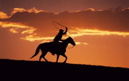 cowboy at sunset - horse, sunset, cowboy, grass