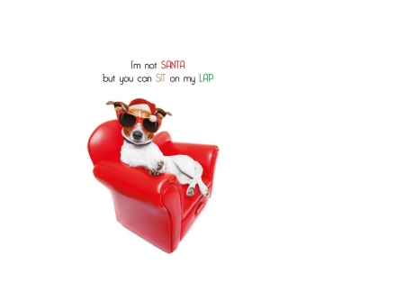 Merry Christmas! - word, glassess, jack russell terrier, craciun, funny, christmas, caine, santa, chair, dog, red, animal, card