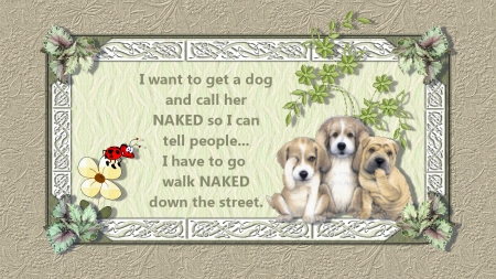 naked - dogs, naked, name, walk