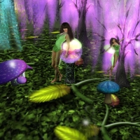 Fairies in Forest