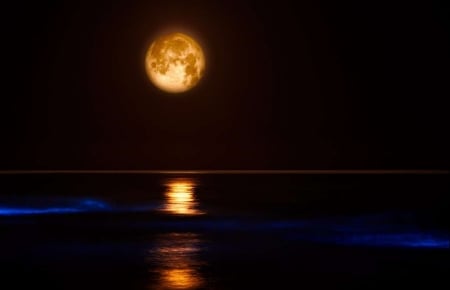 Moon Over Lake - moon, water, lake, reflection