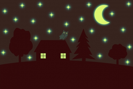 Night Owl - Photoshop, Moon, Fun, Silhouette, Owl, Night, Cartoon, Stars