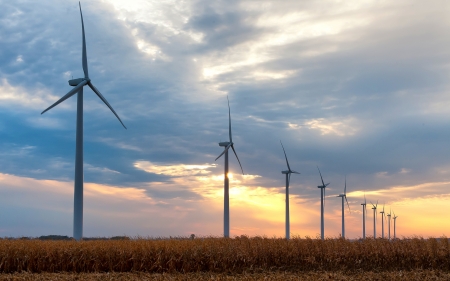 Wind Turbines - sky, field, wind turbines, clouds