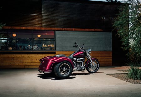 2017 Harley-Davidson Freewheeler