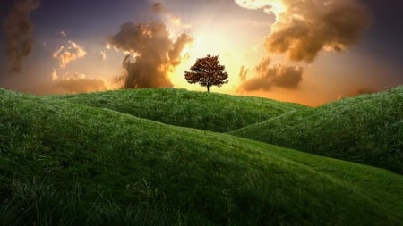 Landscape - hill, tree, landscape, cloud