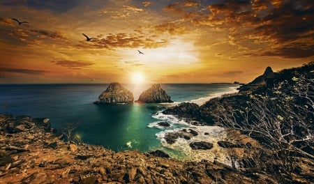 Coastal Sunset - nature, ocean, clouds, sunset, rocks, coast