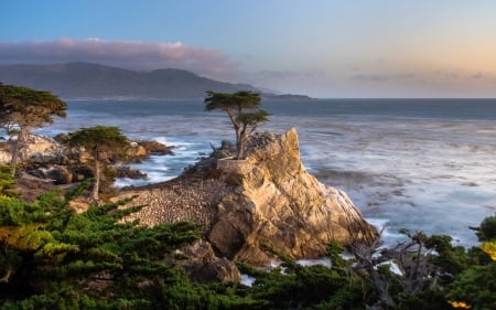 looking out to sea - fun, nature, beach, ocean, cool