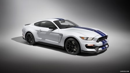 2016 Ford Mustang Shelby GT350 - gt350, car, muscle, mustang, ford, shelby