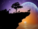 deer herd on a cliff