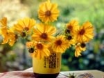 Bouquet of Yellow Flowers