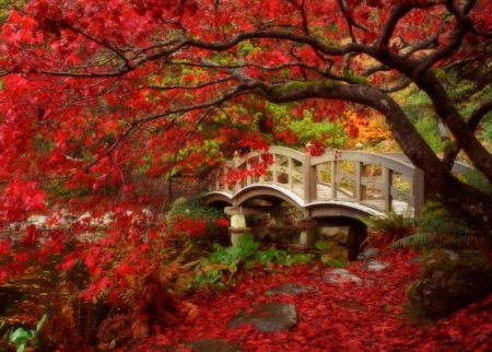 â™¥ - nature, autumn, bridge, trees