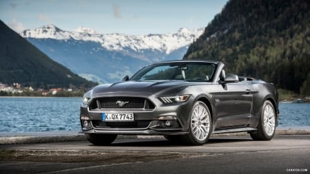 2015 Ford Mustang Convertible - muscle, car, mustang, convertible, ford