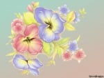 PASTEL FLOWERS