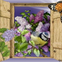 LITTLE BIRD WITH LILACS