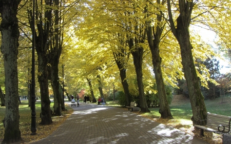 Park in Liepaja, Latvia - latvia, avenue, alley, walkway, park, autumn