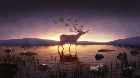 Deer - bird, ikyuvaliantvalentine, water, summer, horns, fantasy, animal, deer, butterfly, art, luminos