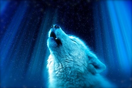 Light from Heaven - howl, aurora, fantasy, wolf, white, art, luminos, blue, ikyuvaliantvalentine