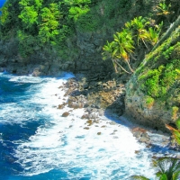 Caribbean Ocean Cliff