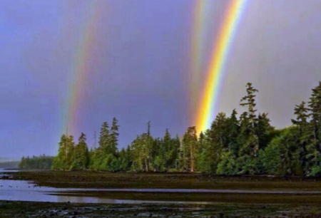 Rainbows - three, nature, trees, rainbows, colorful, water, land