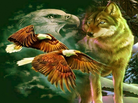 Wild ambassadors - eagles, flight, wolves, wild