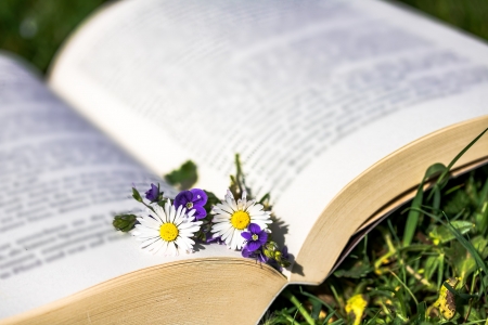 ♥ - abstract, flowers, book, soft