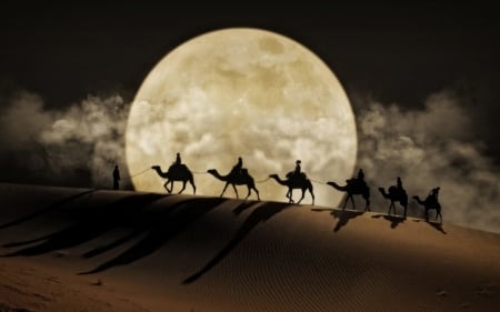 Moonlight - moon, silhouette, light, night, summer, dune, carvana, luna, desert, sand