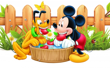 Catching apples - summer, red, funny, water, mickey mouse, yellow, apples, fruit, disney